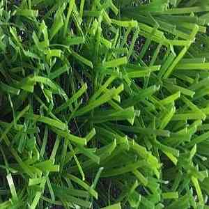 Искусственная трава Forio Geleonsport 40mm Geleonsport 40 фото ##numphoto## | FLOORDEALER